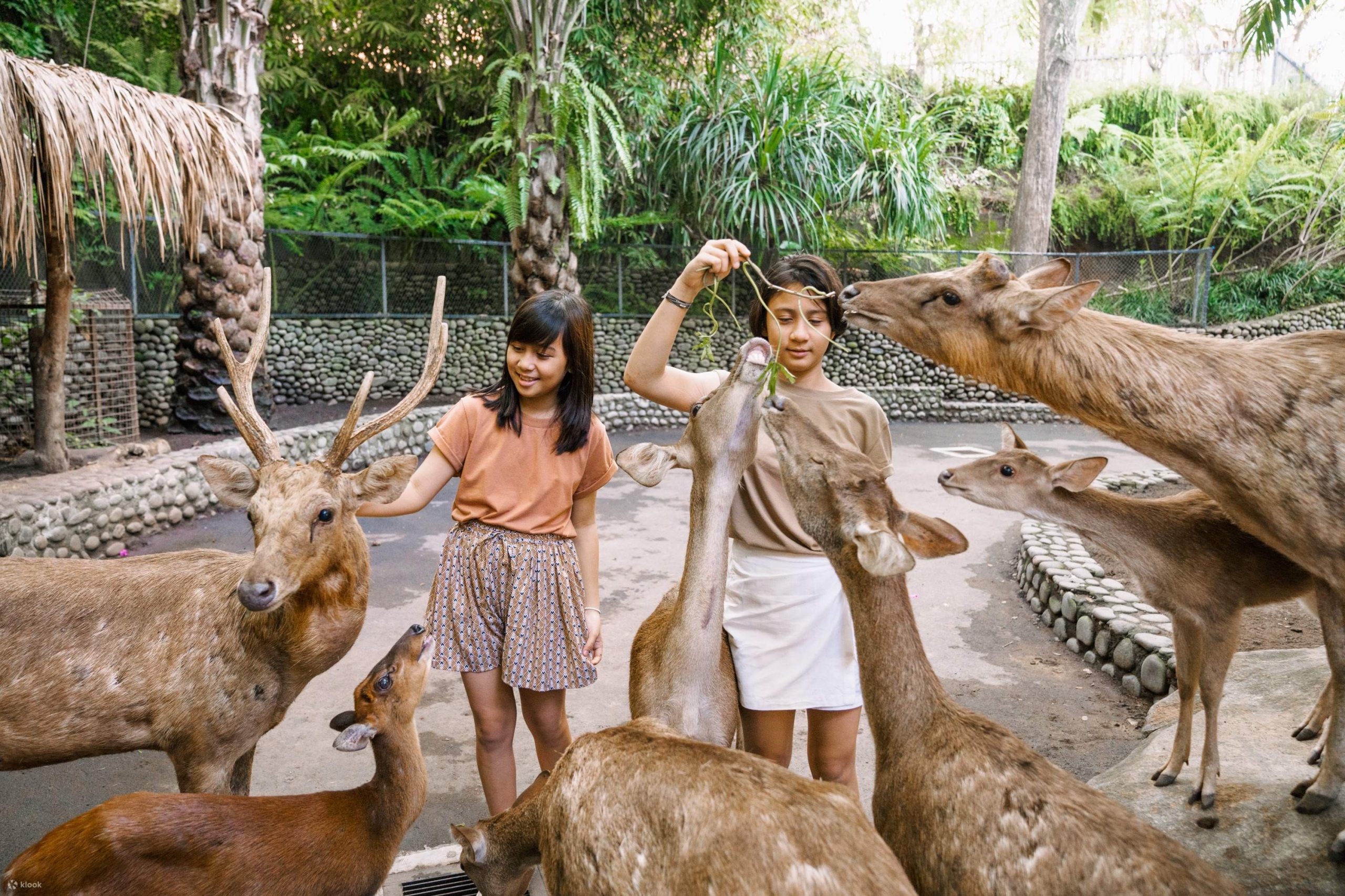 TiketBaliZoodiGianyar,Bali,Indonesia-KlookIndonesia